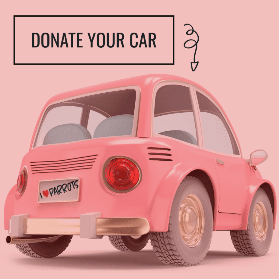 Photo of a car as an example to donate to a non-profit