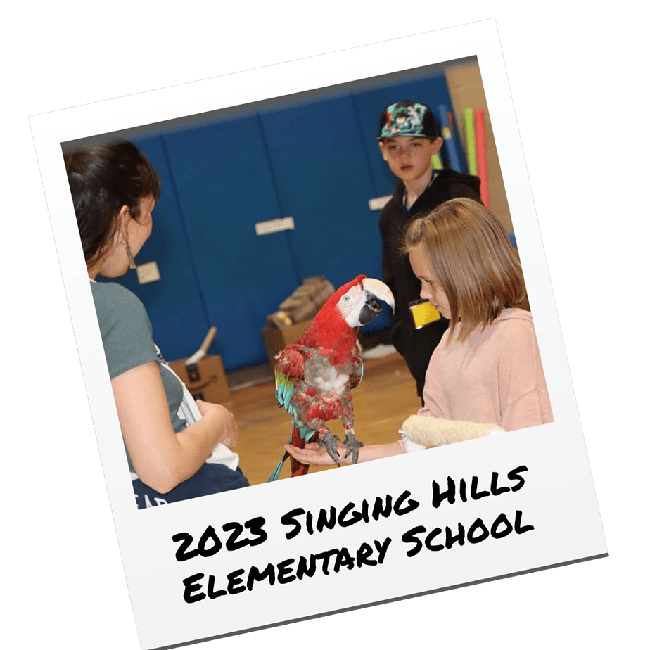 singing hills elementary school event