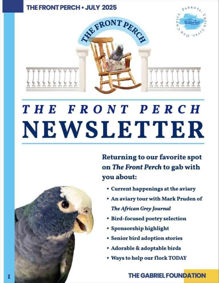 Front page of The Gabriel Foundation's newsletter: The Front Perch