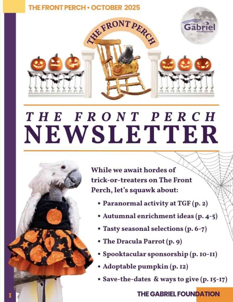 Front - page of The Gabriel Foundation's Newsletter