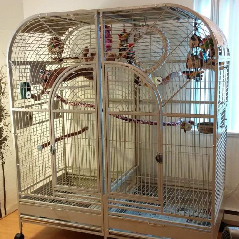 Macaw Cage