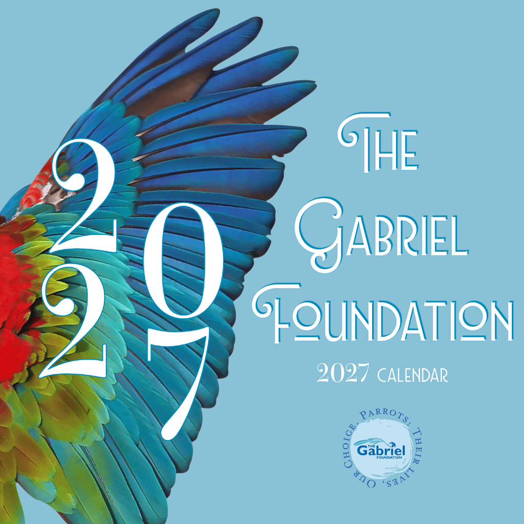 2027 The Gabriel Foundation Calendar