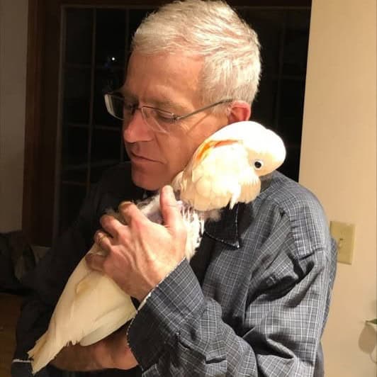 Man with Moluccan cockatoo