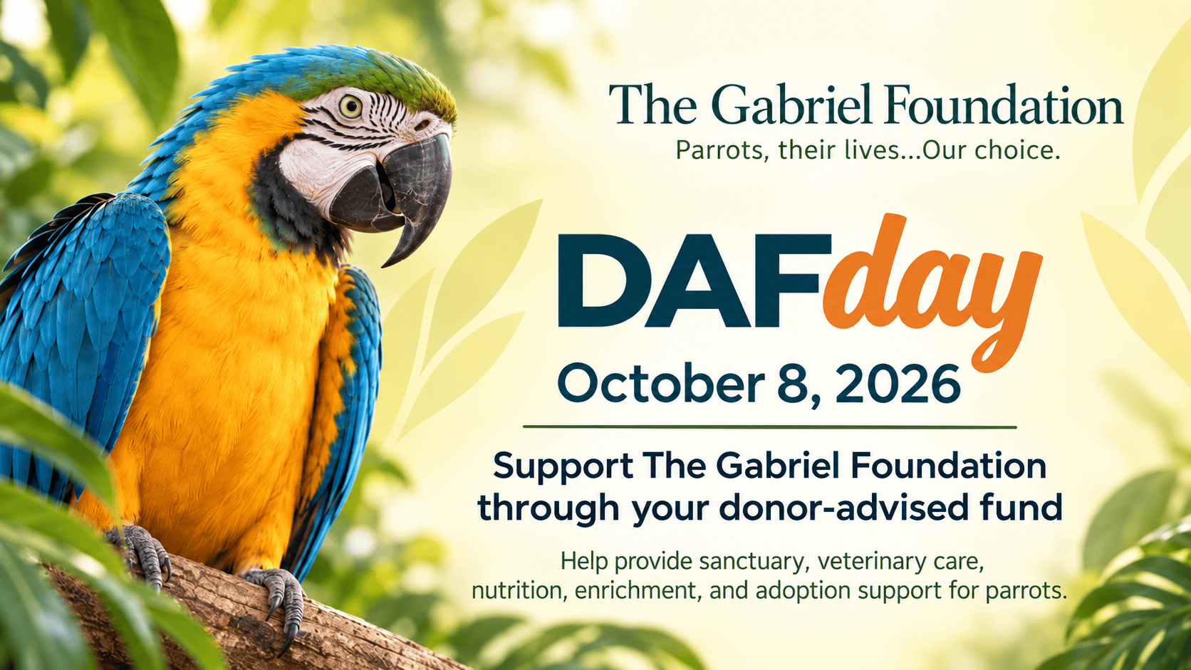 Blue and gold macaw perched and infographic about DAF day