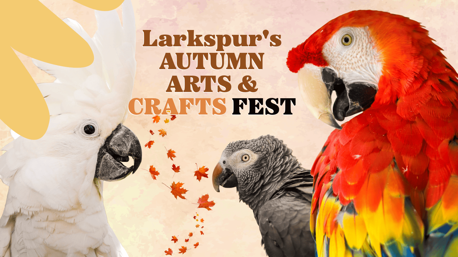 Larkspur Autumn Arts & Craft Fest Banner. Parrots and autumn leaves