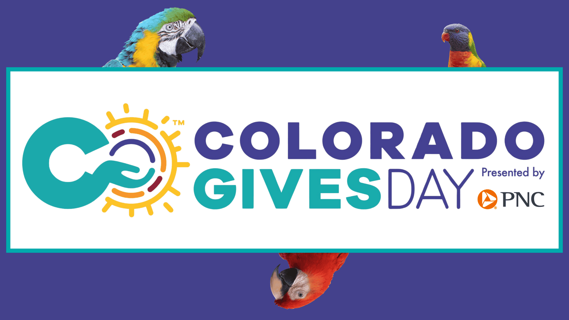 Colorado Gives Day Logo with parrots
