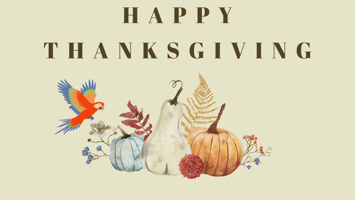 Happy thanksgiving graphic with parrot