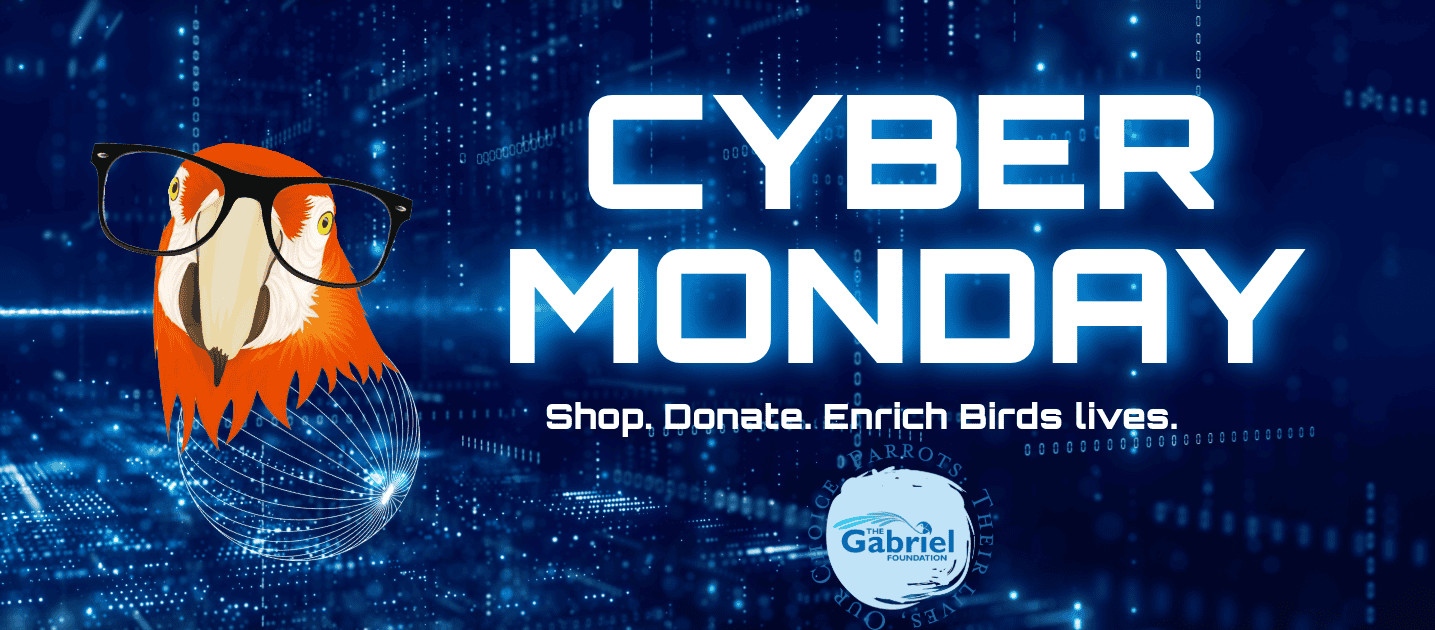 Graphic for cyber monday, a parrot wearing glasses in a digisphere